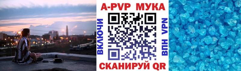 A PVP СК Приморск