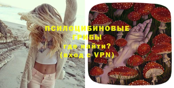прущая мука Зеленокумск