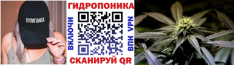 Купить где  Приморск  Бошки Шишки OG Kush 